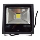 Refletor de Led 30w Bivolt Preto Foxlux