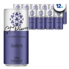 Refrigerante de Blueberry ST PIERRE 270ml (12 unidades)