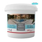 Rejunte Acrílico Flexfloor 1Kg ul Piscina