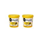 Relaxante Salon Line Manga Guanidina Regular 218G- Kit C/2Un