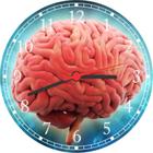 Relógio De Parede Medicina Consultórios Médicos Cérebro