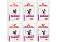 Renal With Chicken Feline 85g - Royal Canin - 6 Unidades