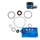 Reparo Bomba Direção Hidráulica Iveco Eurocargo / Stralis Bomba ZF 8695955116 - APC