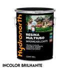 Resina Acrilica Brilhante Multiuso Solvente Hydronorth 18l