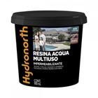 Resina Multiuso Hydronorth Acqua Brilhante 900Ml Incolor Pote 00093193 - multifitas