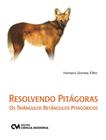 Resolvendo pitagoras - os triangulos retangulos pitagoricos - CIENCIA MODERNA