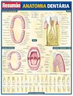 Resumão - anatomia dentaria