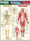 Resumao - anatomia - sistemas do corpo humano