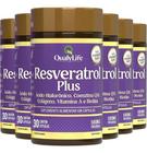 Resveratrol Plus 6 X 30 Cápsulas Qualylife