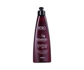 RETRÔ RED ELIZABETH SHAMPOO MATIZADOR 300mL