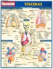 Reusmao Medicina - Visceras - RESUMAO