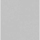 Revestimento Bright Gray Brilhante Esmaltado Retificado 32x62 - Almeida - ALMEIDA (VS)