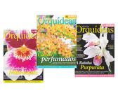 Revista Orquídeas da Natureza Cultivo Variedades Espécies - Europa