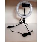 Ring light 20CM com suporte para celular anel de luz - Lamani