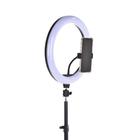 Ring Light Led 26cm 10p Tripé 210cm Selfie Youtuber Estetica Com Suporte Para Foto Celular