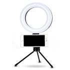 Ring Light Led Iluminador 26Cm 10 Polegadas Completo 2,1M