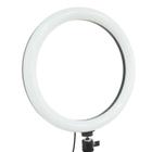 Ring Light Led Iluminador Blog Tripé 13 Polegadas 33cm Exbom