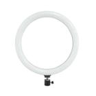 Ring Light Led Iluminador Luz Portátil 14' Polegadas Sem Tripé Bivolt - LightDel