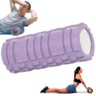 Rolo Massagem Miofascial Pilates Yoga Fisioterapia Alongamento Academia Foam Roller Ginastica Flexibilidade Fortalecimento - Economia Solar