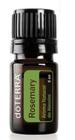 Rosemary - Alecrim doTerra