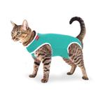 Roupa Cirúrgica Confortpet Tradicional Verde para Gatos - Tamanho 5