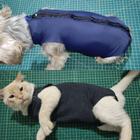 Roupa cirurgica para cachorro e gata - conforto e segurança