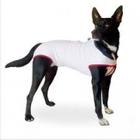 Roupa Pet macacão pós cirurgico de algodão cães N2 23cm