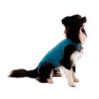 Roupa Pós Castração Pet Med Duo Dry Azul para Cães Macho - Tam. 00