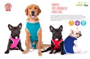 Roupa Pós Cirúrgica Para Cães Nº 5 (6 a 8 Kg)