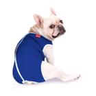 Roupa Pós Cirúrgica Para Cães Nº 7 (10 a 14 Kg)