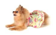 Roupa Vestido Verão Pet Cachorro Cães e Gatos Verão Pickorruchos - Tamanho 0