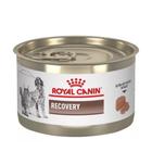 Royal Canin Pate Recovery Recuperação Cães e Gatos 195g