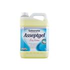 Sabonete Antisséptico Asseptgel Sem Aroma 5l Bacgel Start