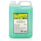 SABONETE ERVA DOCE 5L DEOLINE 245-5L Premisse