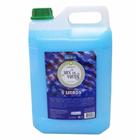 Sabonete Liq. Mix de Frutas 5L - Premisse