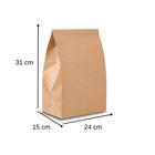 Saco de papel kraft delivery liso g 15kg 24x15x31 cm com 50 unid - pluma