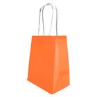 Sacola Papel Kraft Laranja Tamanho 14cm X 08cm X 16cm 10 Un - LELU SACOLA PAPEL