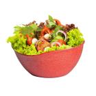 Saladeira bowl oval design vermelha tigela p/ salada pipoca - EVO