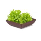 Saladeira Quadrada 2,9 Lt Vasilha Petisqueira Marrom Escuro - Evo