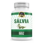 Sálvia Premium 100% Natural - 60 Capsulas De 500mg - Lincoln