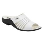 Sandália Masculina Itapuã Canoinha 4601 Couro Slide