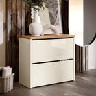 Sapateira organizadora com prateleiras porta basculante - cores