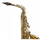 Sax Alto Shelter Sft6430l Laqueado Dourado Com Case Luxo