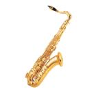 Sax tenor Dreamer em Bb Niquelado FT6435L