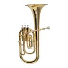 Saxhorn Eb MICHAEL Laqueado - WSHM35N