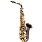 Saxofone Alto Eagle SA500 BG Mib (Eb) Com Case
