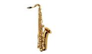 Saxofone Alto Essence Michael WASM30N
