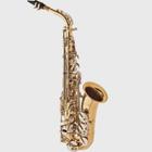 Saxofone Alto Mib Eagle Sa500 Ln Laqueado Niquelado + Estojo