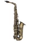 Saxofone Alto MICHAEL Acabamento Escovado - WASM31