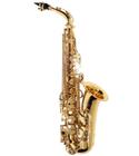Saxofone Alto Michael Linha Essence WASM30N Dourado - com Case